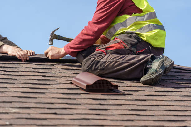 Best Commercial Roofing Services  in Battle Creek, NE