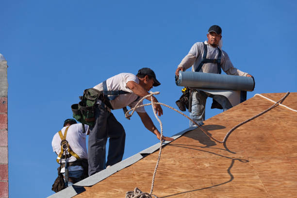 Best Commercial Roofing Services  in Battle Creek, NE