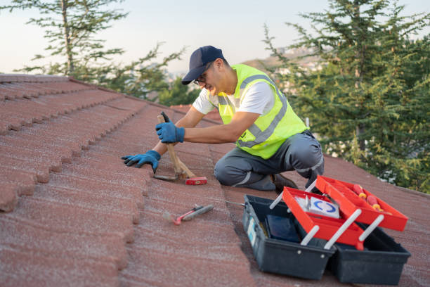 Best Residential Roofing Contractor  in Battle Creek, NE