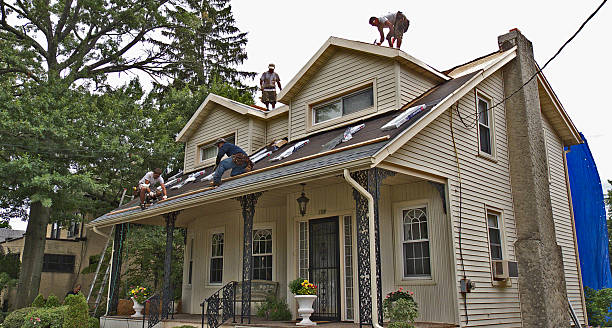 Best New Roof Installation  in Battle Creek, NE