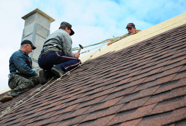 Best Best Roofing Contractors  in Battle Creek, NE